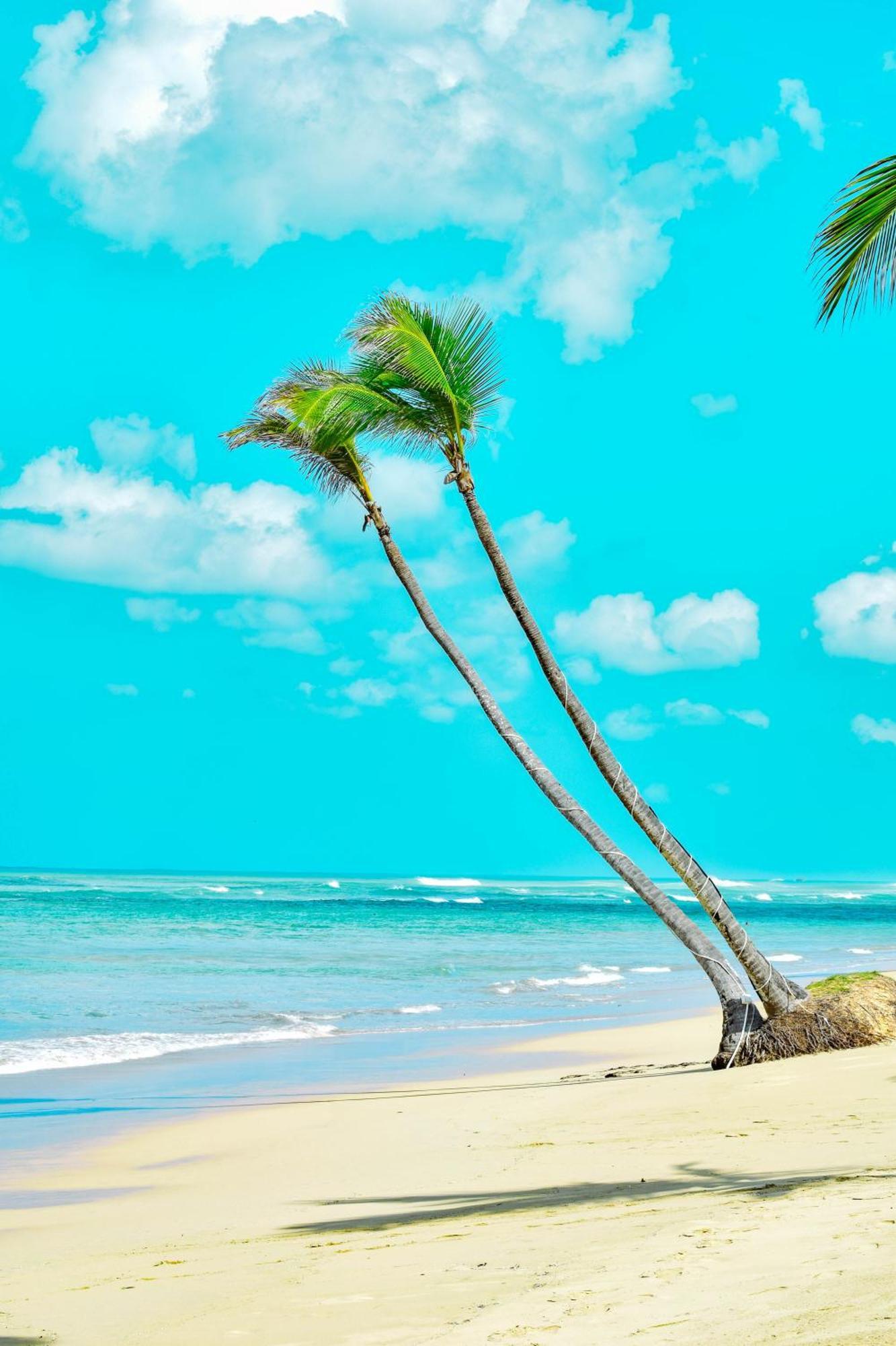 Playa Palmera Beach Resort Пунта Кана Екстериор снимка
